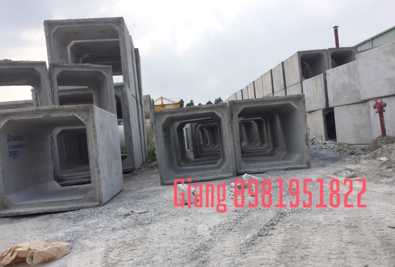 Cống hộp 1000x1000 tại Sông Đáy